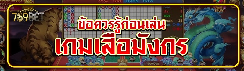 ข้อควรรู้ก่อนเล่นเกมเสือมังกร