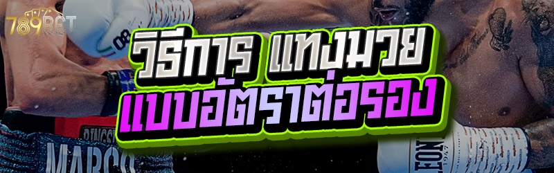 วิธีการ แทงมวย แบบอัตราต่อรอง