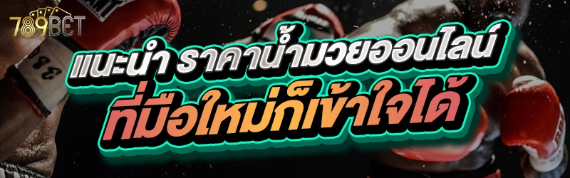 แนะนำ ราคาน้ำมวยออนไลน์ ที่มือใหม่ก็เข้าใจได้